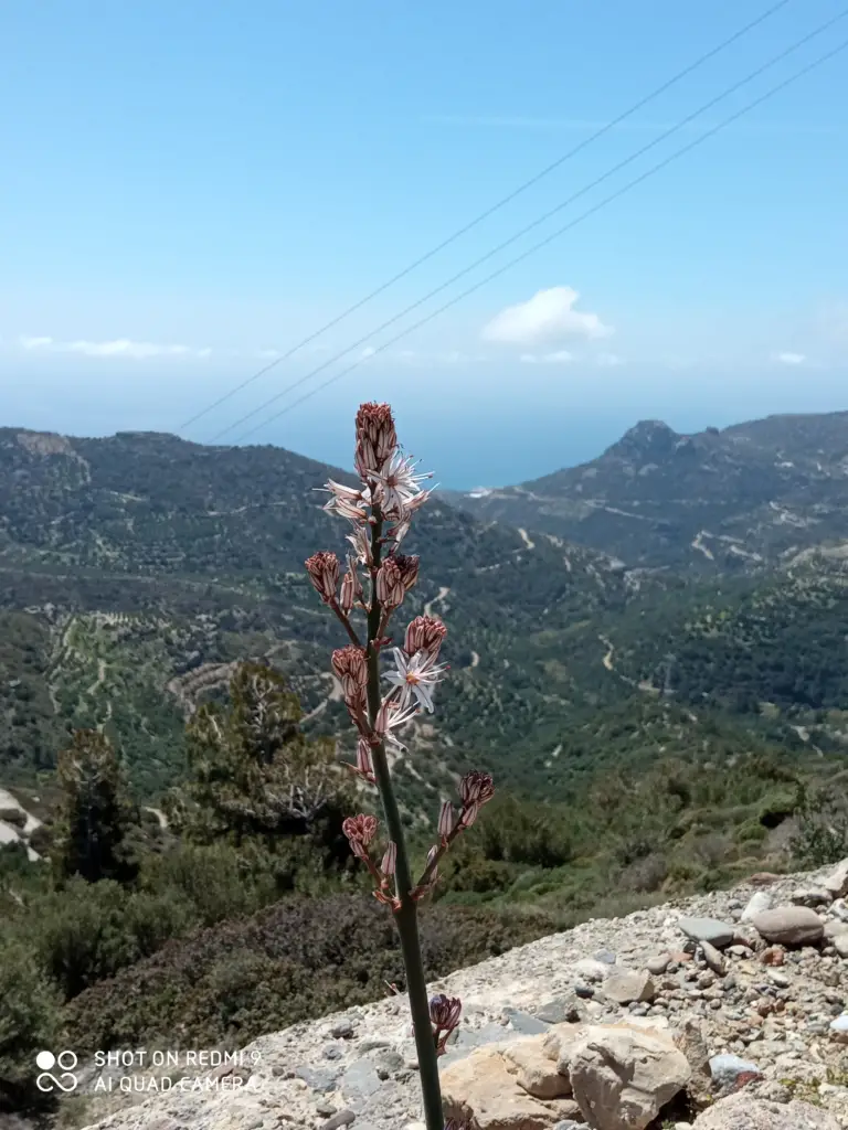 Kreta Landschaft - Berge - Tal - Blick 