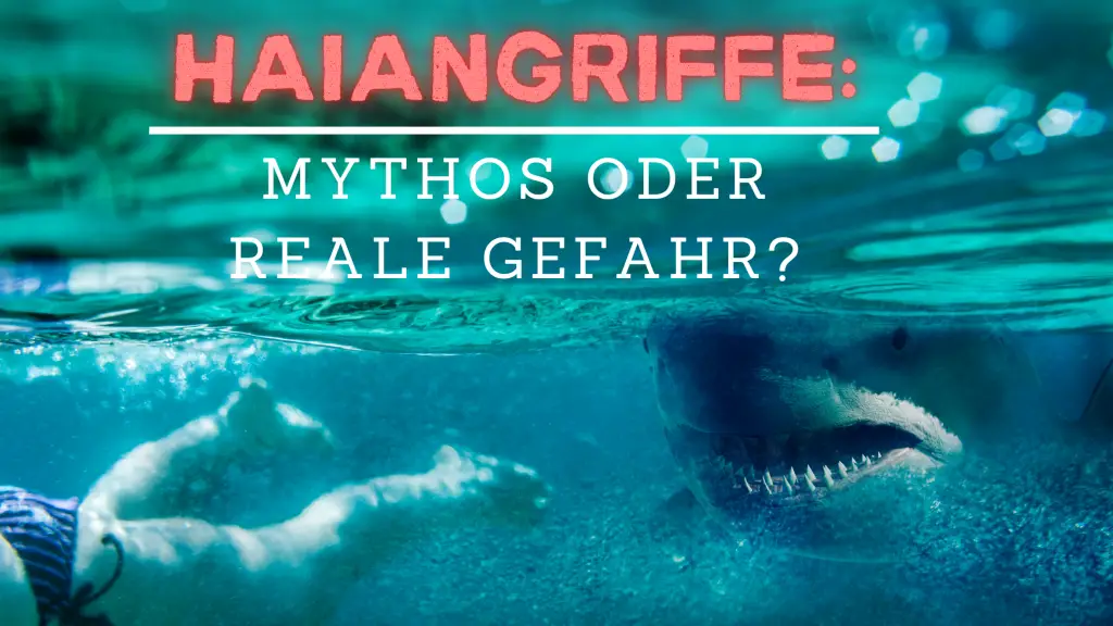 Haiangriffe: Mythos oder reale Gefahr? Tauchen Sie ein in die faszinierende Welt der Haie und erfahren Sie alles Wissenswerte über ihr Verhalten, Angriffsgründe, Präventionsmaßnahmen und die neuesten Erkenntnisse aus der Forschung